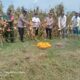 Kepala Dinas Pertanian Simalungun Ikut Hadir Dalam Acara Panen Jagung Serentak Gunung Malela
